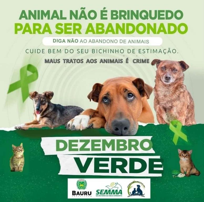 CAMPANHA DEZEMBRO VERDE PROMOVE CONSCIENTIZAÇÃO PARA COMBATE AO ABANDONO DE ANIMAIS.