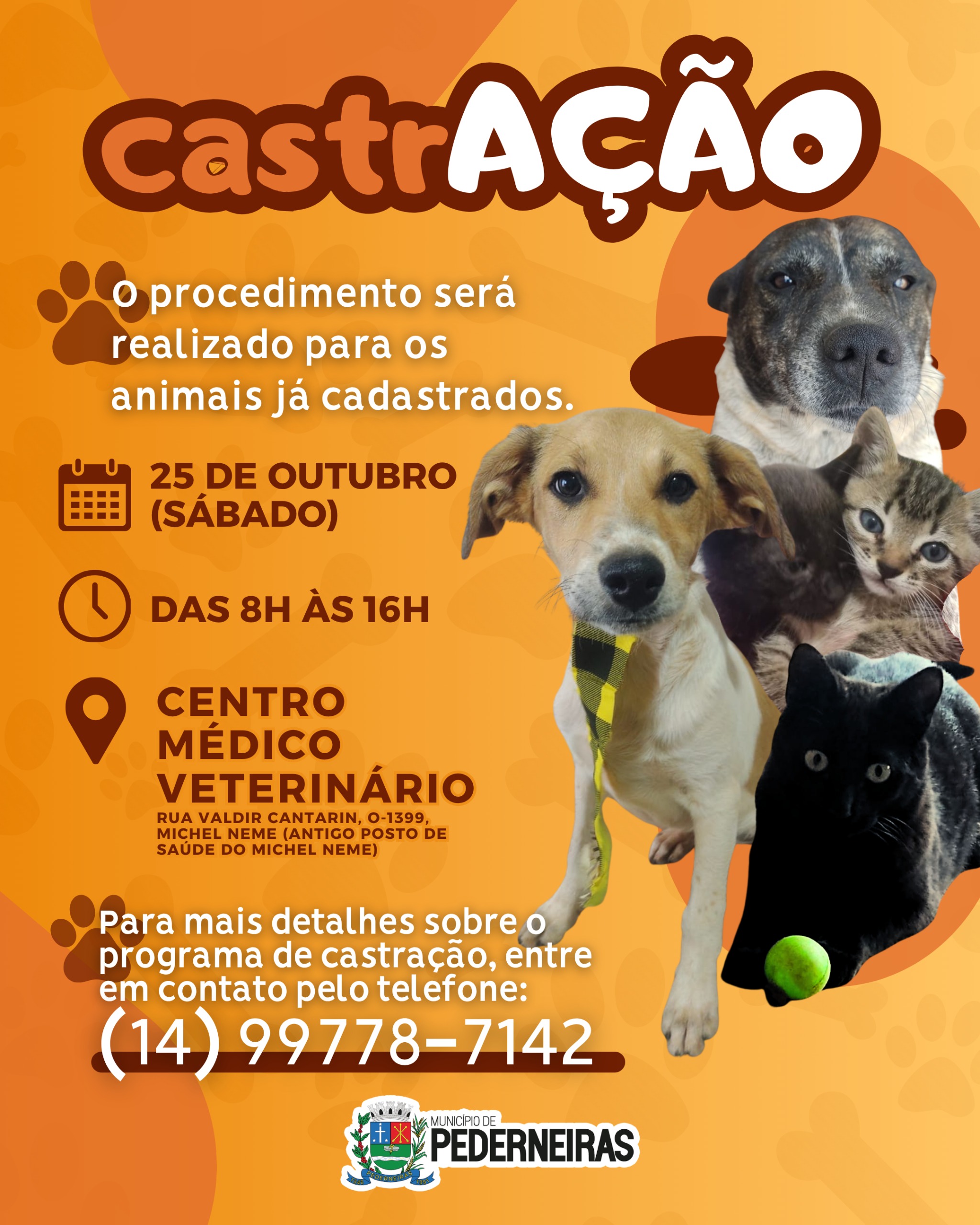 PEDERNEIRAS: PREFEITURA DE PEDERNEIRAS REALIZA INTENSIFICAÇÃO DA CASTRAÇÃO