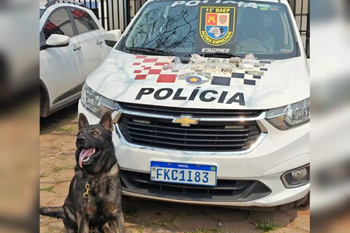 POLÍCIA: CÃO DO BAEP LOCALIZA DROGAS E ADOLESCENTE DE 14 ANOS É APREENDIDO.